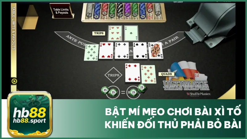 Bật Mí Mẹo Chơi Bài Xì Tố Khiến Đối Thủ Phải Bỏ Bài 1 Bật Mí Mẹo Chơi Bài Xì Tố Khiến Đối Thủ Phải Bỏ Bài