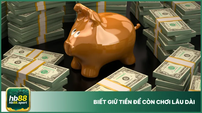 Bật Mí Mẹo Chơi Bài Xì Tố Khiến Đối Thủ Phải Bỏ Bài 4 Đừng quên phân chia nguồn tiền cho phù hợp