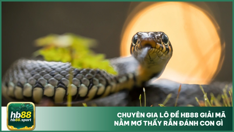 Nằm Mơ Thấy Rắn Đánh Con Gì? Luận Số Đẹp Cùng Hb88 5 Chuyên gia lô đề hb88 giải mã nằm mơ thấy rắn đánh con gì