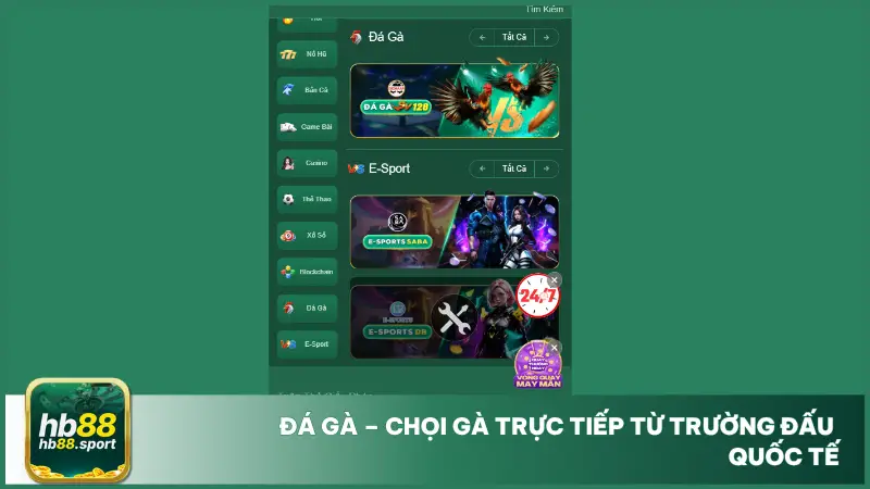 Hb88 kết hợp cùng SV128, nhà cung cấp uy tín trong lĩnh vực đá gà