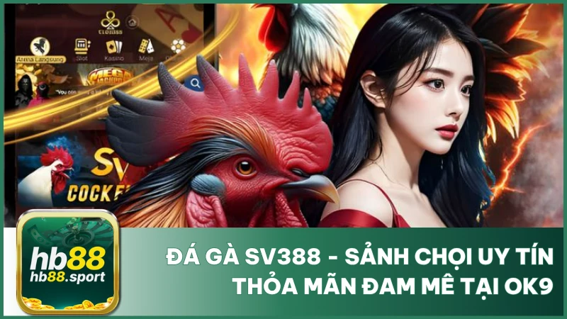 Đá Gà Sv388 - Sảnh Chọi Uy Tín, Thỏa Mãn Đam Mê Tại Hb88 1 Đá Gà Sv388 - Sảnh Chọi Uy Tín, Thỏa Mãn Đam Mê Tại Hb88