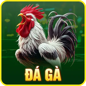 Đá Gà
