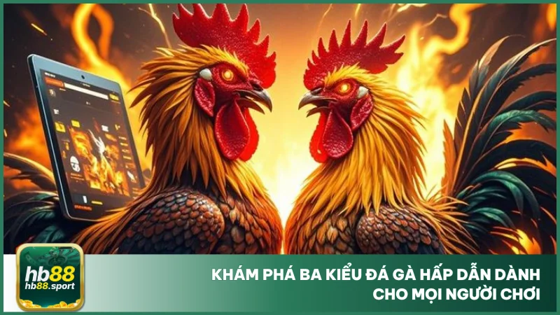 Khám phá ba kiểu đá gà hấp dẫn dành cho mọi người chơi