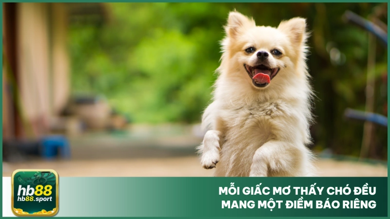 Nằm Mơ Thấy Chó - Chốt Ngay Số Đẹp Đánh Lô Tại Hb88 3 Mỗi giấc mơ thấy chó đều mang một điềm báo riêng