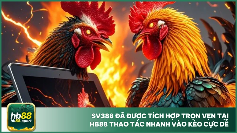 Đá Gà Sv388 - Sảnh Chọi Uy Tín, Thỏa Mãn Đam Mê Tại Hb88 2 SV388 đã được tích hợp trọn vẹn tại hb88 thao tác nhanh vào kèo cực dễ