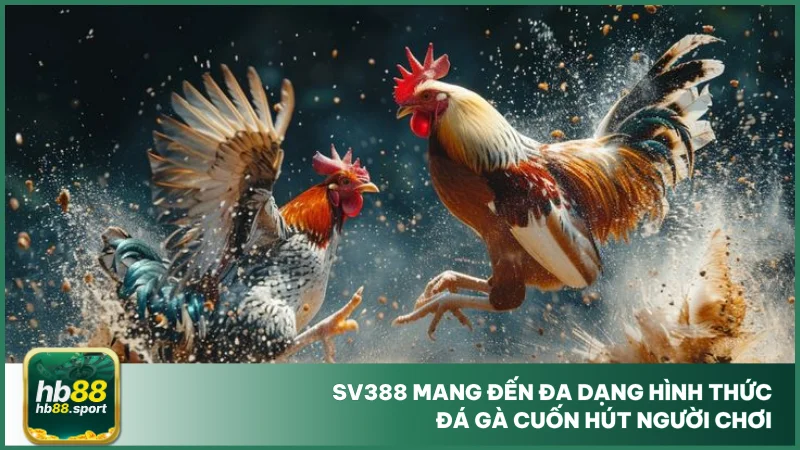 Đá Gà Sv388 - Sảnh Chọi Uy Tín, Thỏa Mãn Đam Mê Tại Hb88 3 SV388 mang đến đa dạng hình thức đá gà cuốn hút người chơi