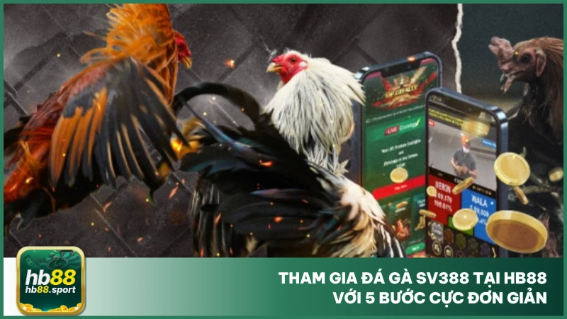 Đá Gà Sv388 - Sảnh Chọi Uy Tín, Thỏa Mãn Đam Mê Tại Hb88 5 Tham gia đá gà SV388 tại hb88 với 5 bước cực đơn giản