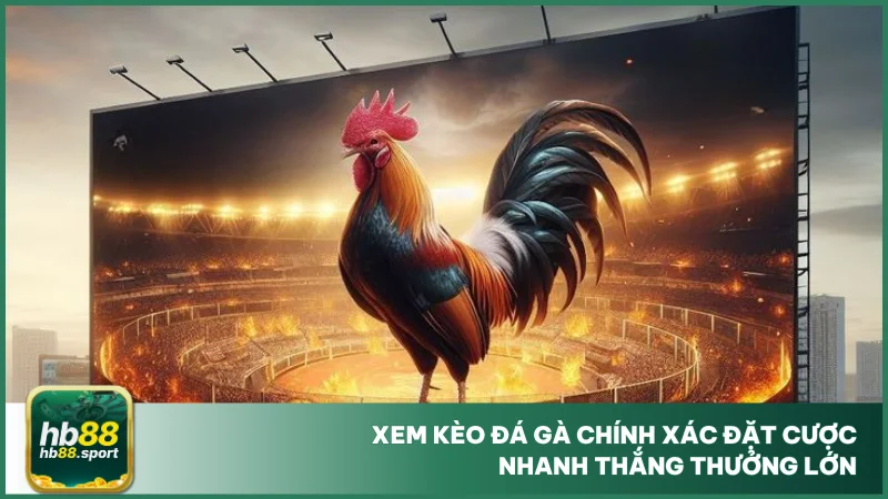 Xem kèo đá gà chính xác đặt cược nhanh thắng thưởng lớn